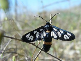 10-0423-Kalecik (2)a.jpg